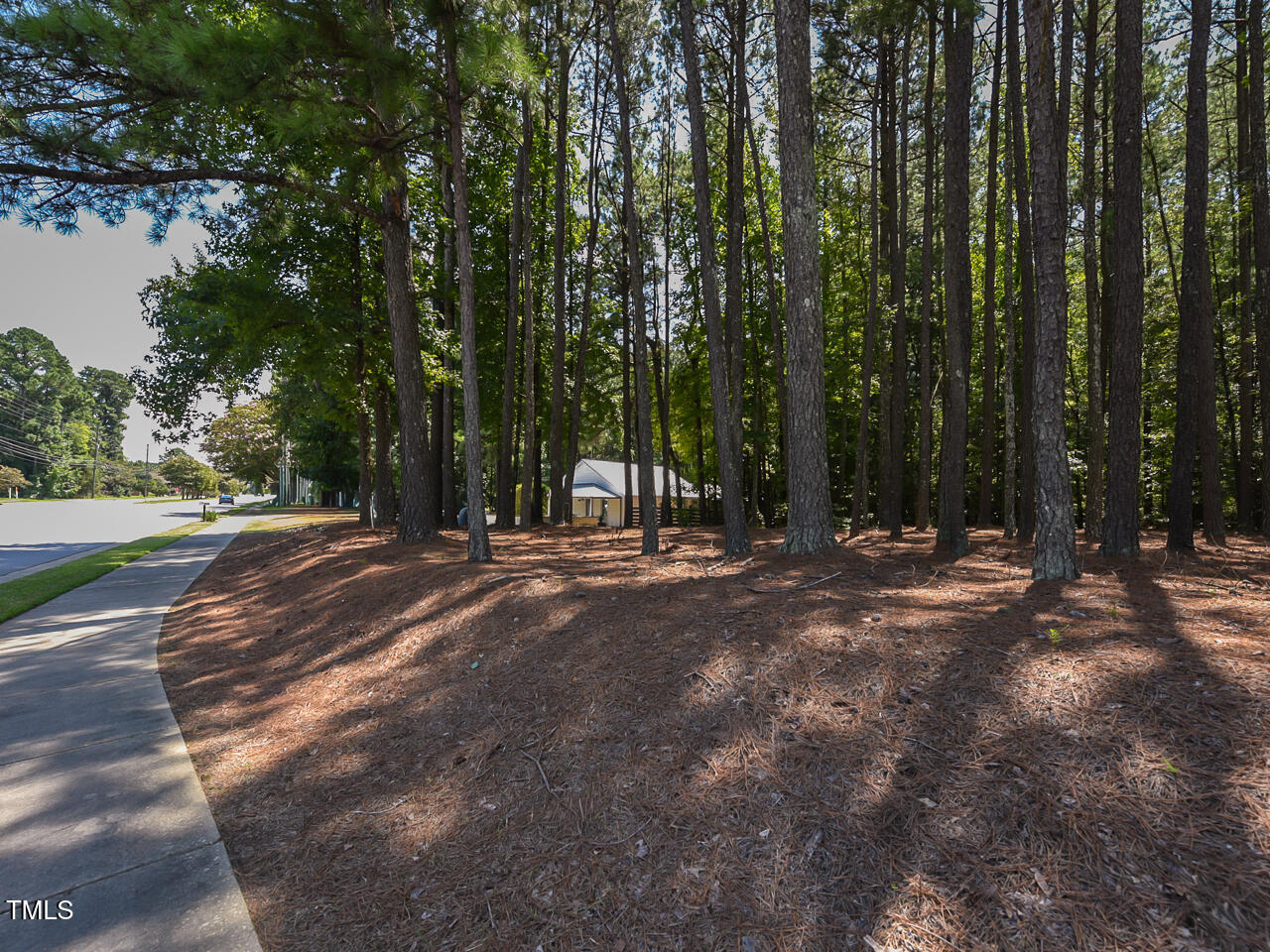 3223 Tryon Road Raleigh, NC 27603 - Photo 45 of 45 a view of outdoor space with trees