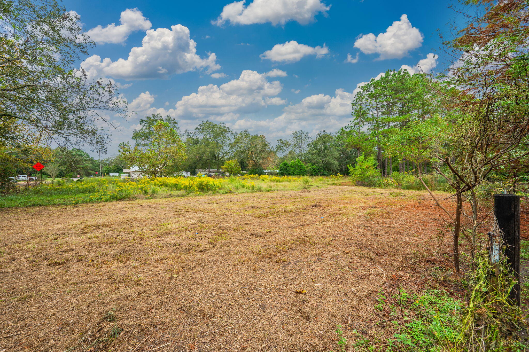 91 North Street DeFuniak Springs, FL 32433 - Photo 39 of 55 a view of a yard