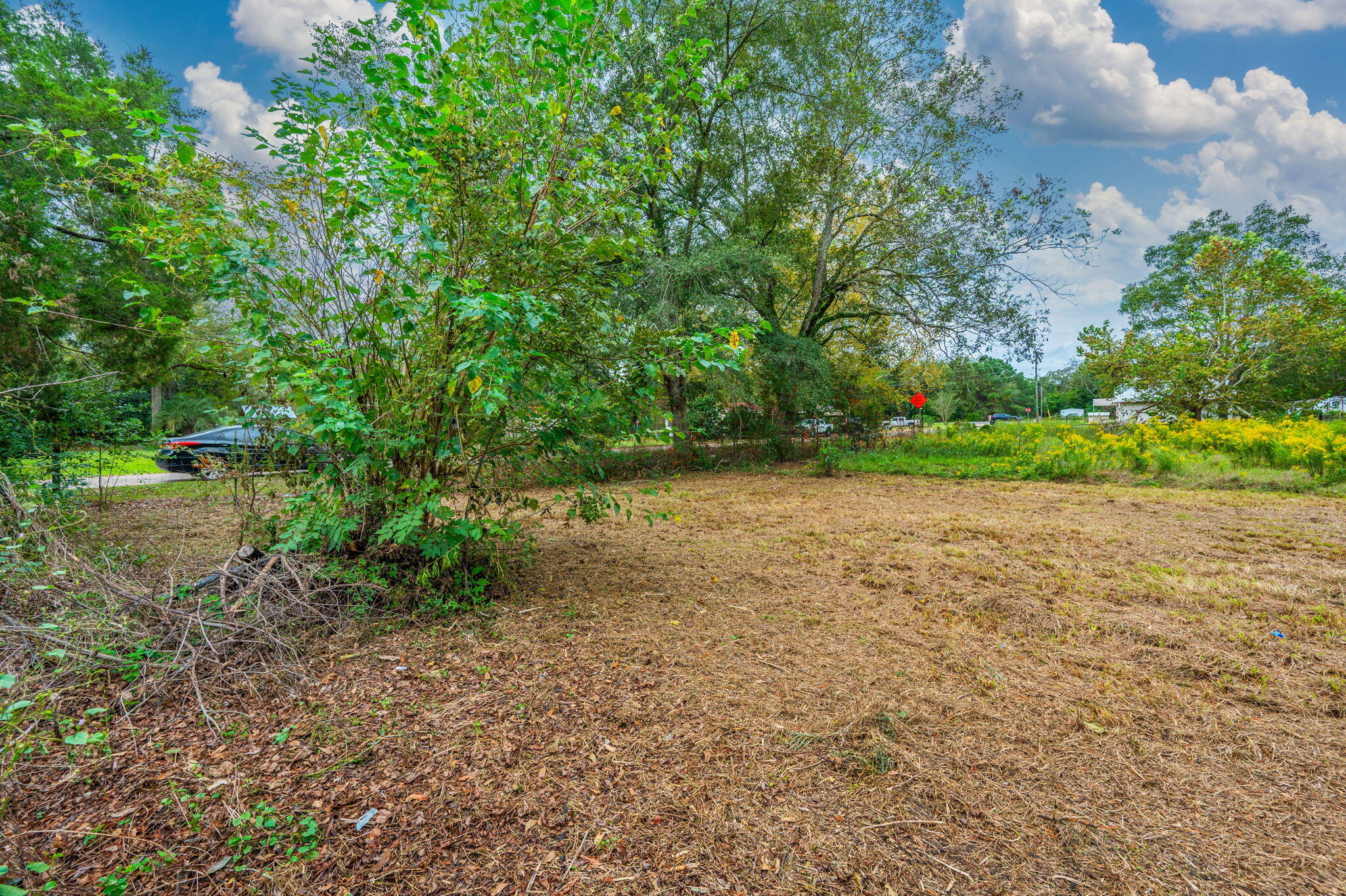 91 North Street DeFuniak Springs, FL 32433 - Photo 40 of 55 a backyard of a house with lots of green space