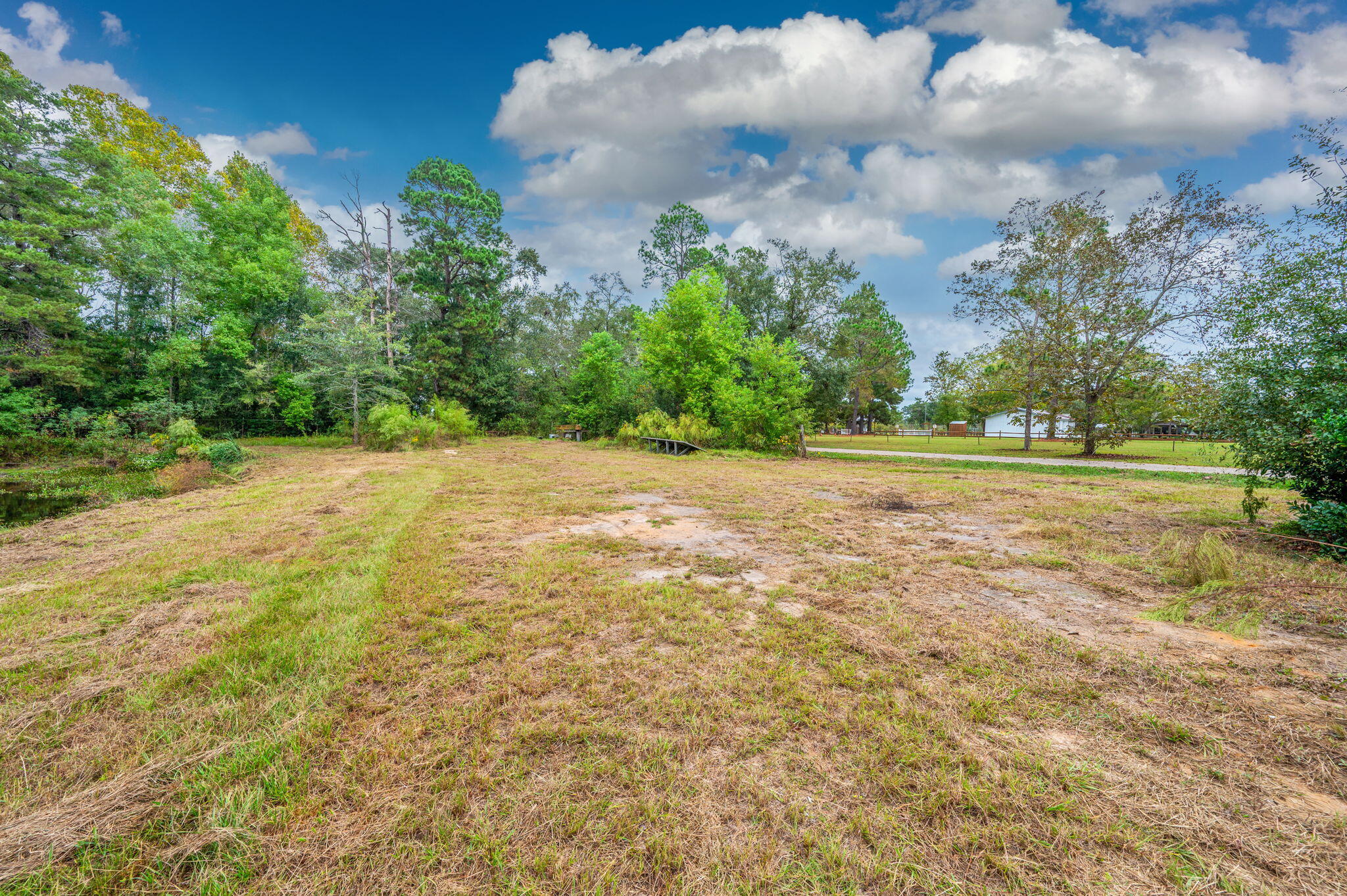 91 North Street DeFuniak Springs, FL 32433 - Photo 45 of 55 a view of a big yard with plants and large trees