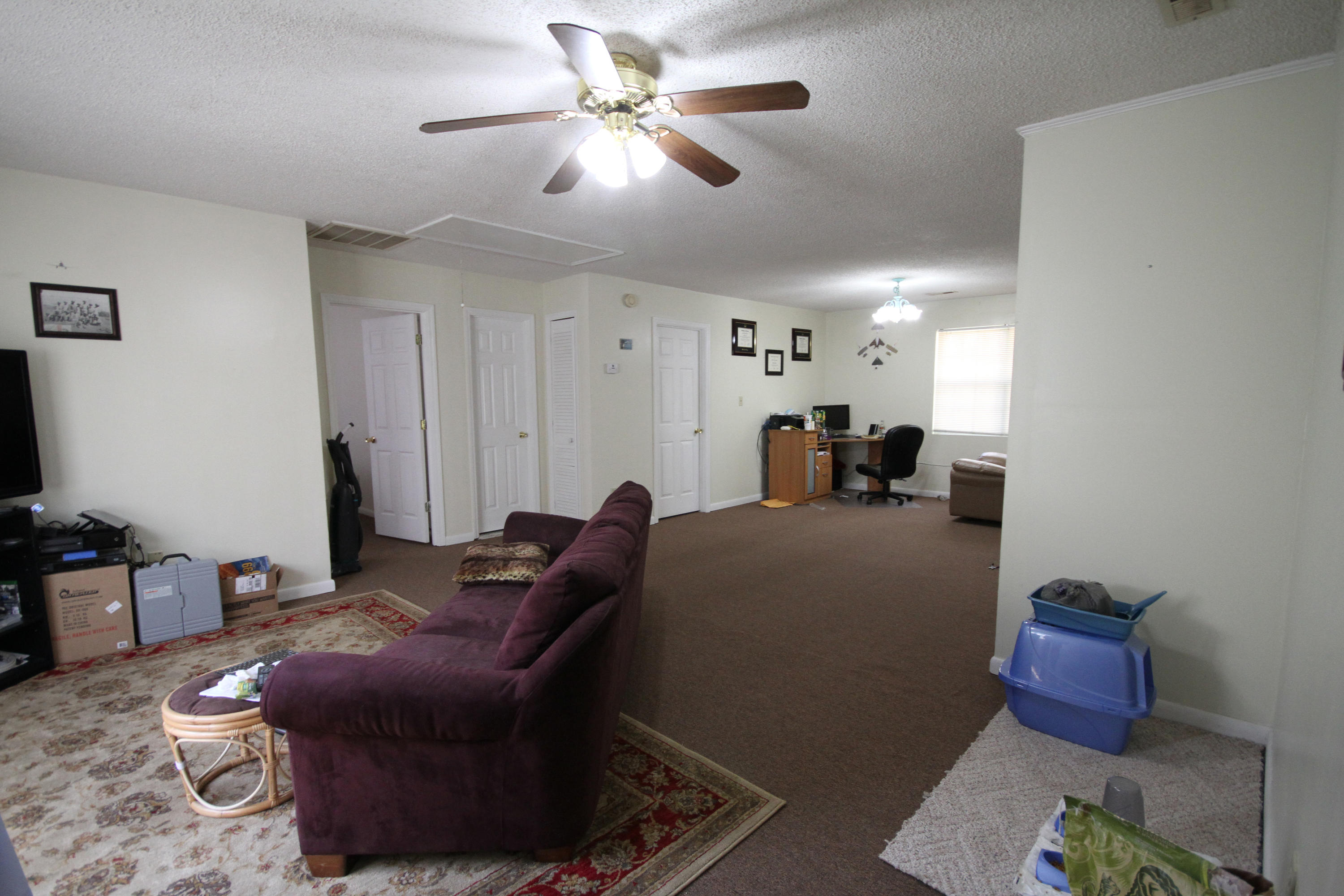 148 Line Street Charleston, SC 29403 - Photo 6 of 10 backapartment