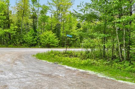 Lot# Bucksmills Road Bucksport, ME 04416 - Photo 10 of 15 fyimsim61j