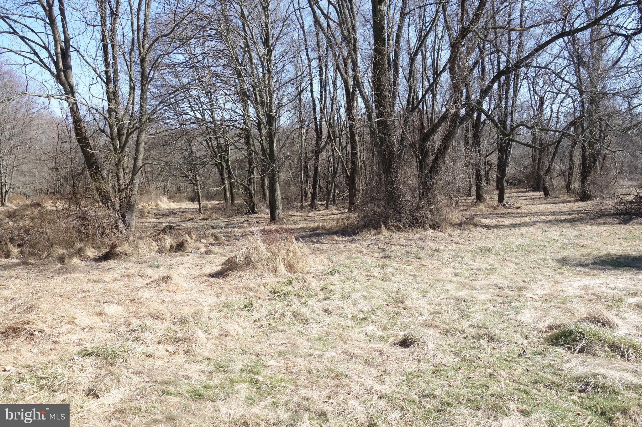 Lloyd Rd Grove Pa West Grove, PA 19390 - Photo 6 of 11 Gallery Image 6