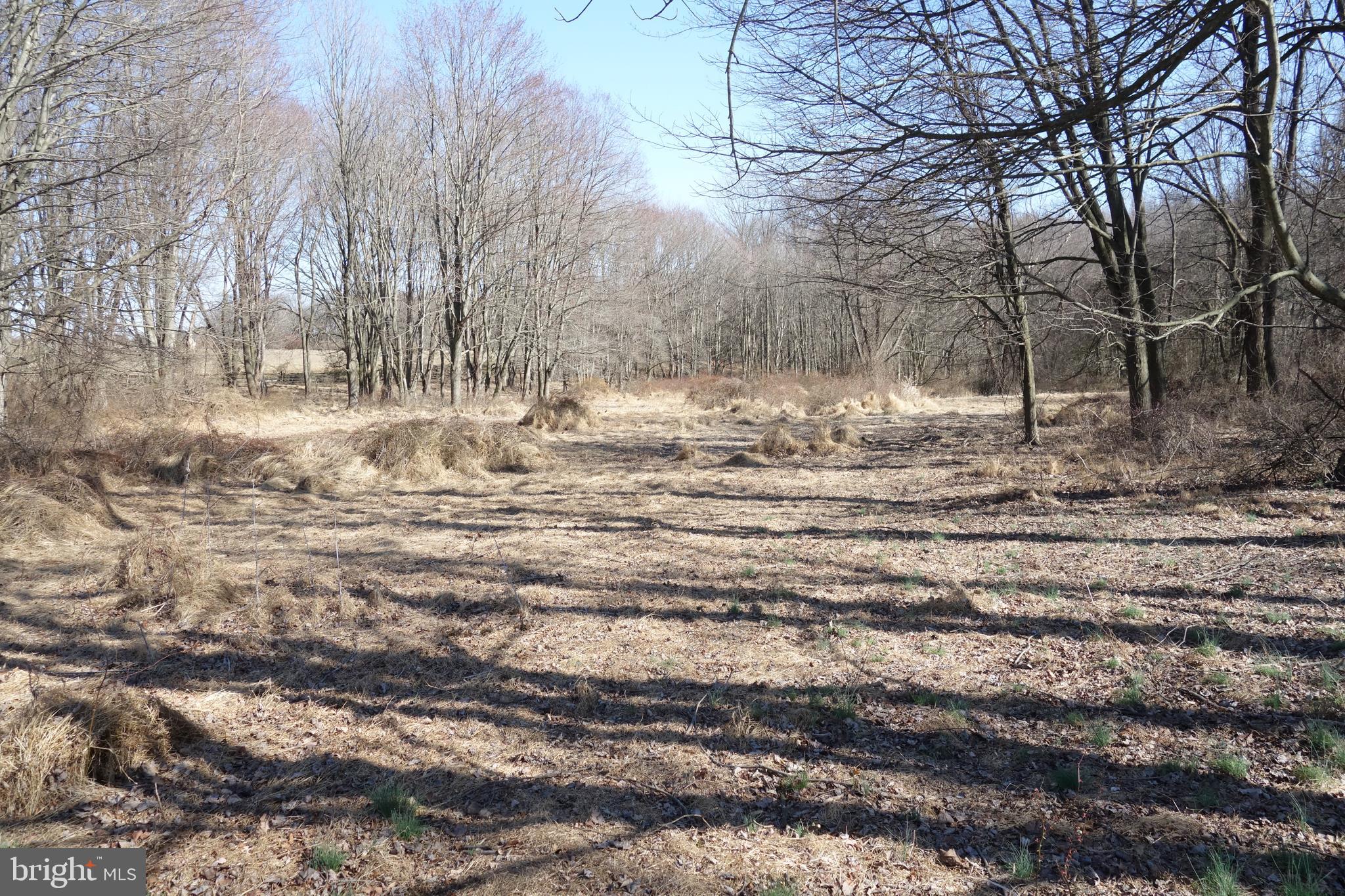 Lloyd Rd Grove Pa West Grove, PA 19390 - Photo 7 of 11 Gallery Image 7