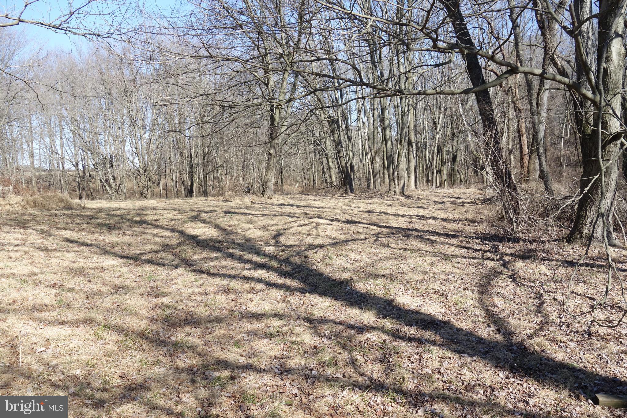 Lloyd Rd Grove Pa West Grove, PA 19390 - Photo 8 of 11 Gallery Image 8