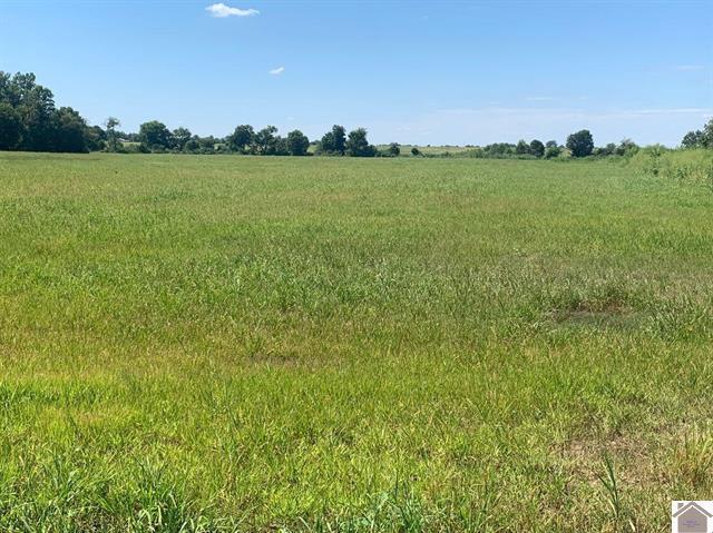 3697 County Line Road Kevil, KY 42053 - Photo 8 of 14 CLR6