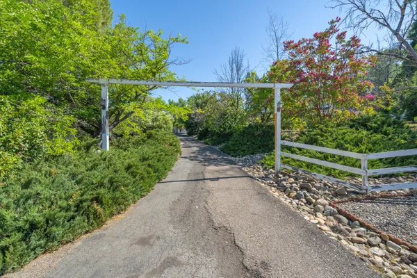 a view of a garden with plants