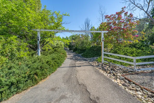 a view of a garden with plants