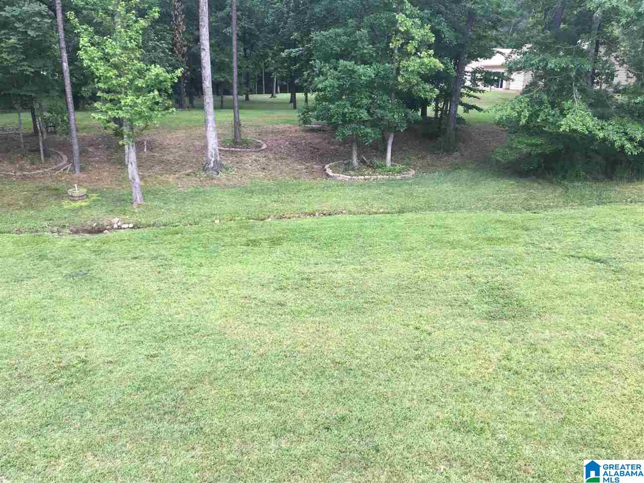 79 Chestnut Circle Sylacauga, AL 35151 - Photo 5 of 25