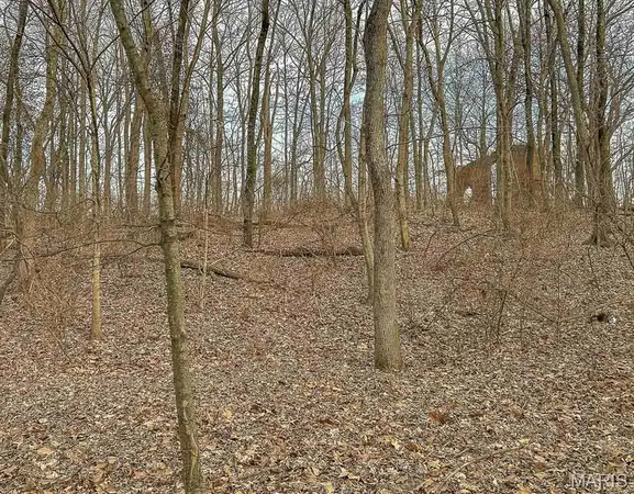 $40,000 | 3.31-acres 3.31-acres Hertel School (white Oaks Club) Road, Freeburg, IL 62243