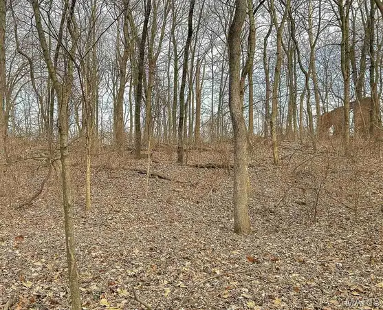 $40,000 | 3.31-acres 3.31-acres Hertel School (white Oaks Club) Road, Freeburg, IL 62243