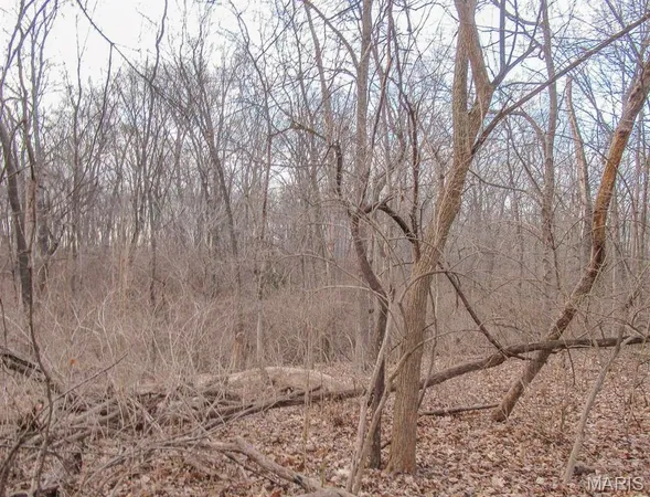 $40,000 | 3.31-acres 3.31-acres Hertel School (white Oaks Club) Road, Freeburg, IL 62243