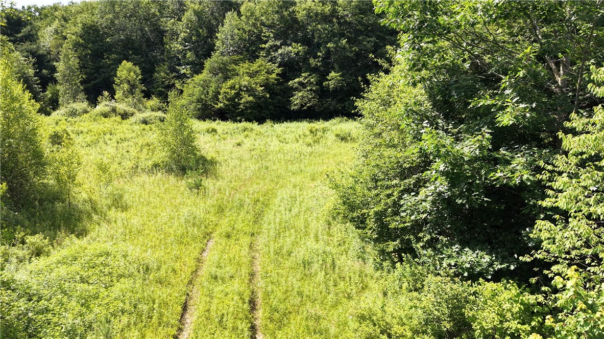 409 Cty Road Cincinnatus, NY 13040 - Photo 25 of 29