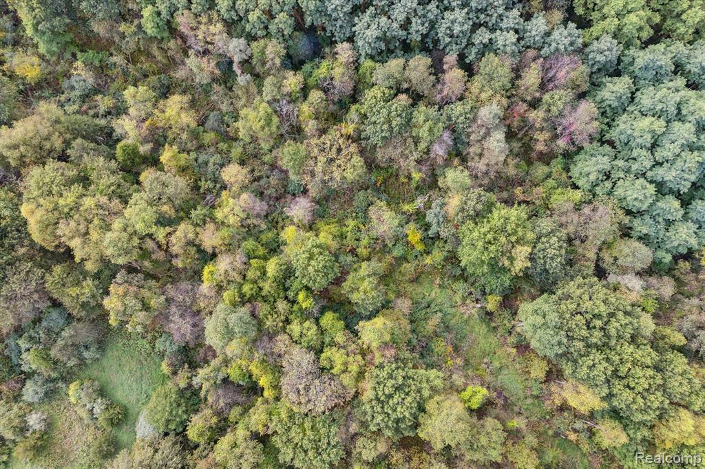 0 Swarthout Road Pinckney, MI 48169 - Photo 9 of 16
