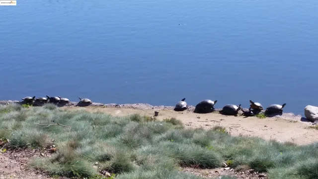 a view of a roof with furniture and wooden floor
