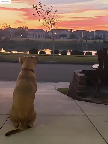a view of a brick wall with a wooden bench