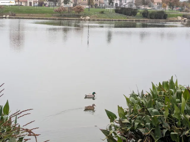 a view of outdoor space and trees