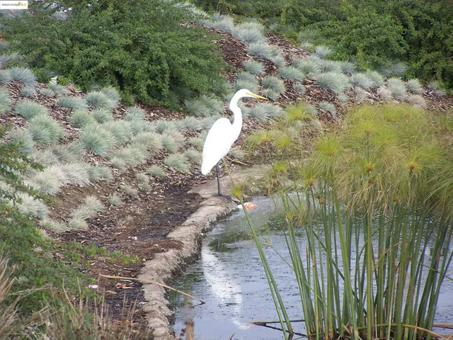 a hallway with kids room bathroom with bathtub and shower
