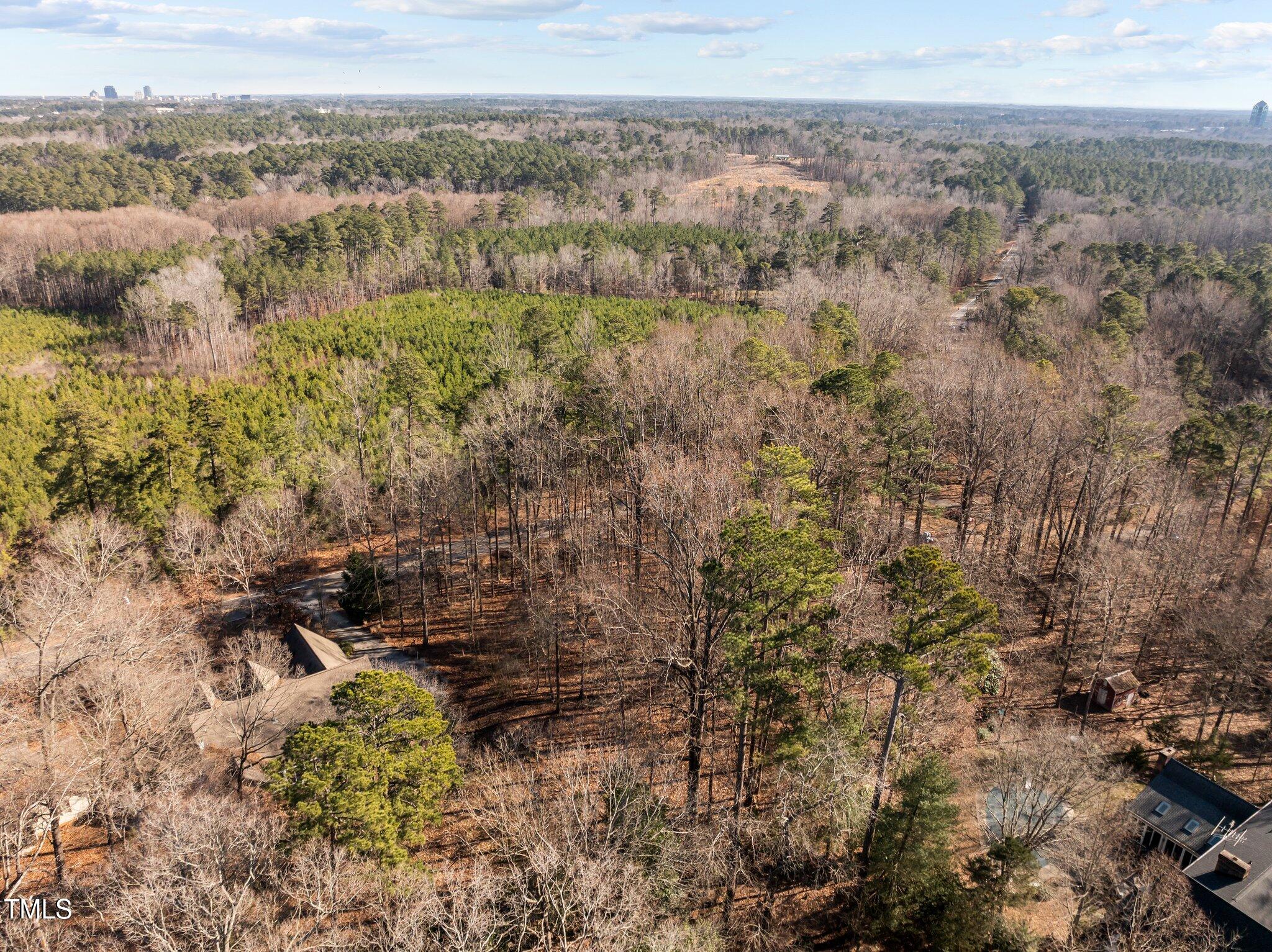 3207 West Cornwallis Road Durham, NC 27705 - Photo 9 of 11 a view of a city with lush green forest