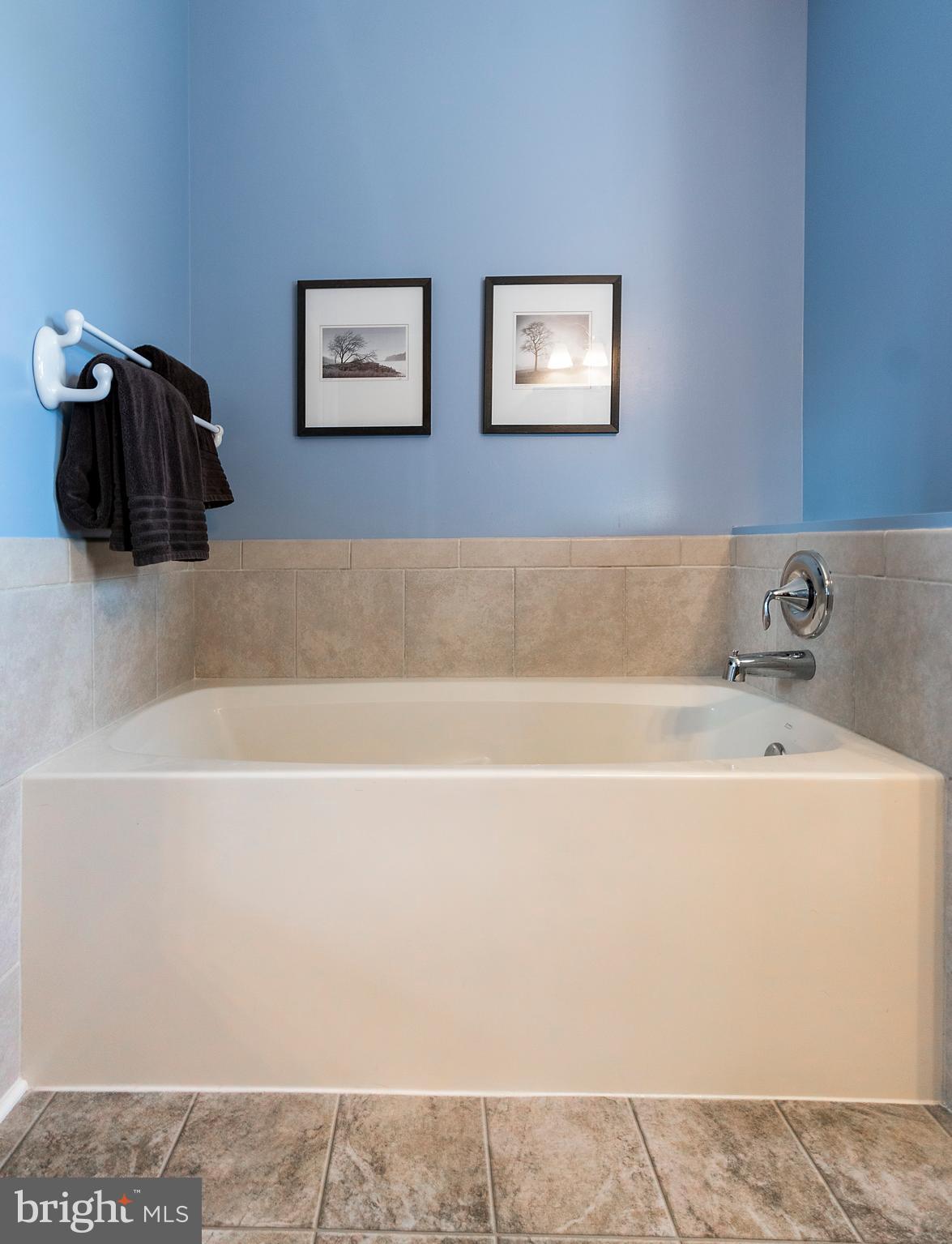 3696 Emory Church Road Street, MD 21154 - Photo 27 of 56 Master Bathroom Soaking Tub