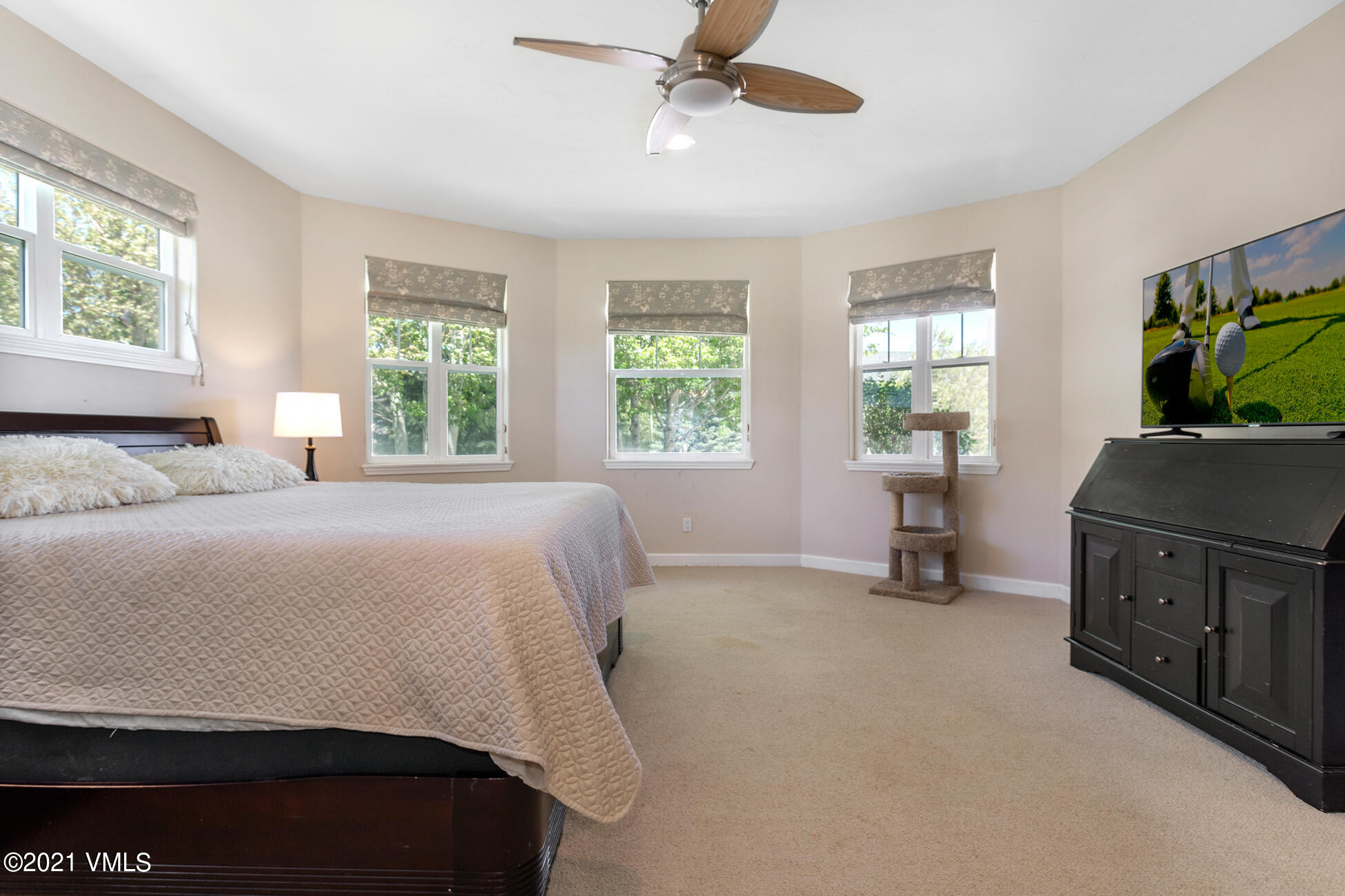 161 Springfield Street Gypsum, CO 81637 - Photo 11 of 28 161 Springfield MLS-3