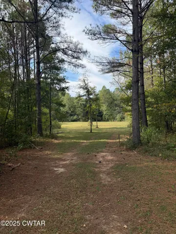 a view of a field with trees in the background