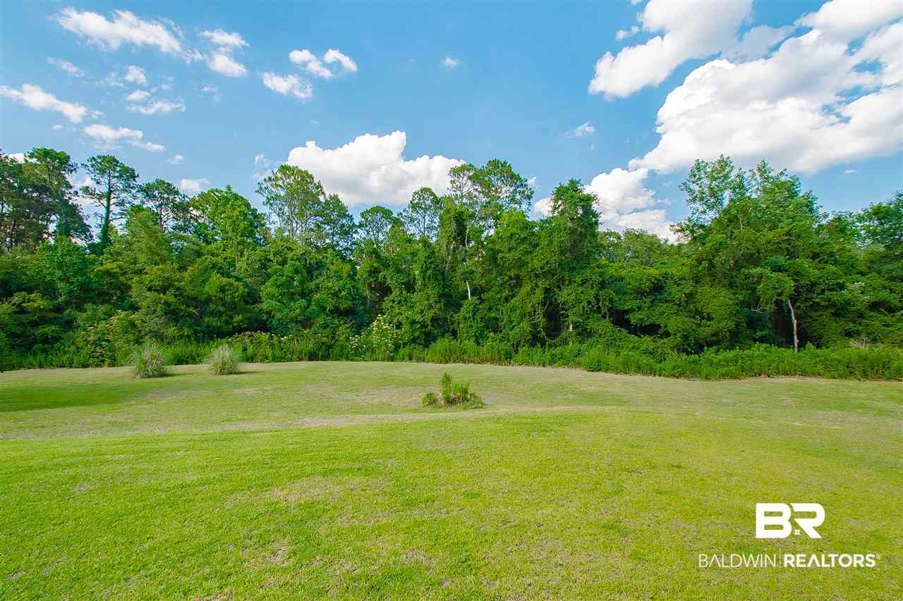 20940 Langford Road Fairhope, AL 36532 - Photo 39 of 43 Back Yard View