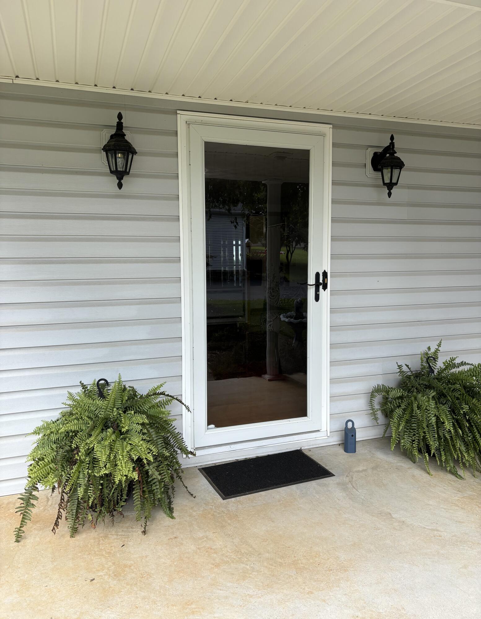 1235 Rock Spring Road Goodview, VA 24095 - Photo 11 of 62 a view of front door and potted plants