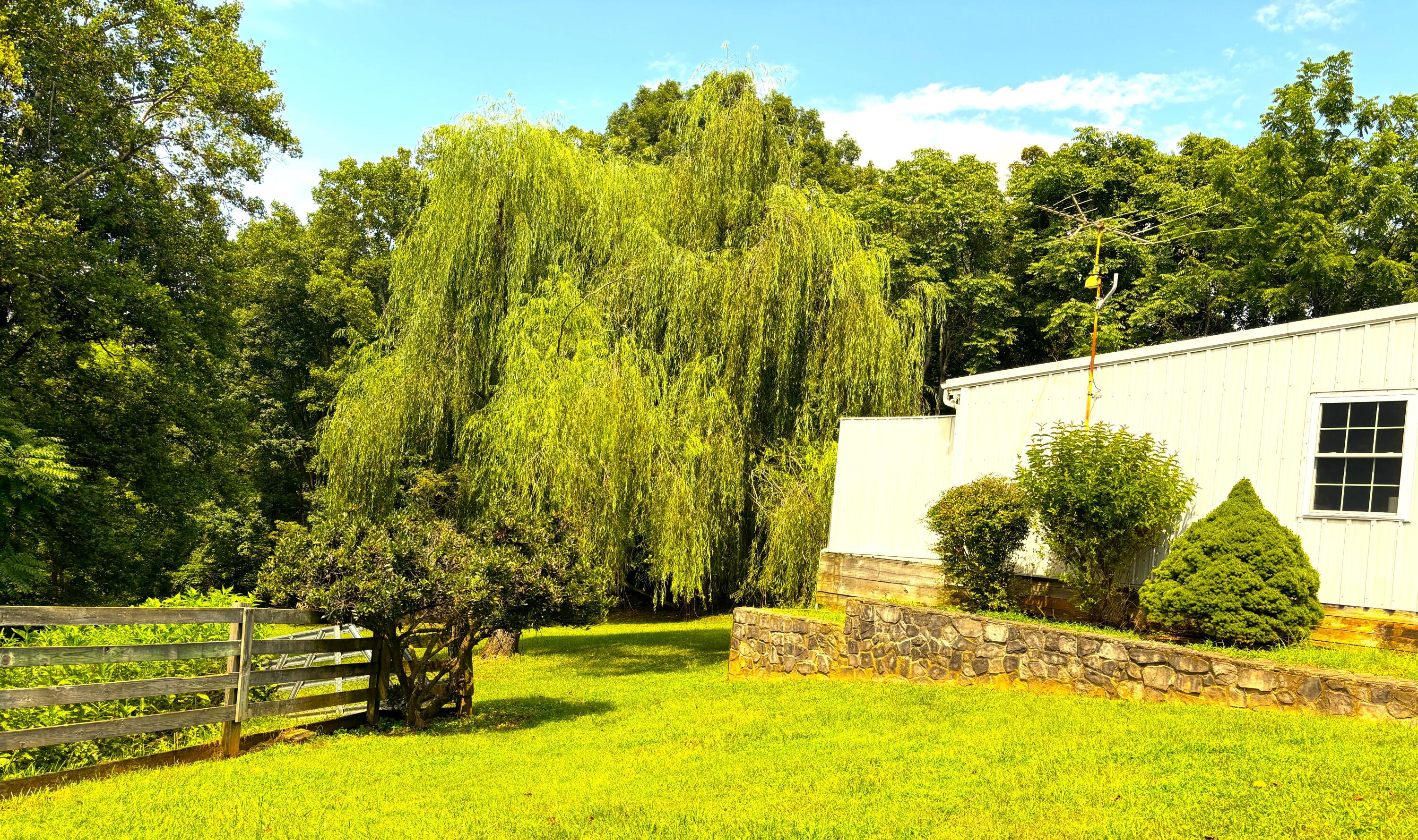 1235 Rock Spring Road Goodview, VA 24095 - Photo 46 of 62 a view of an outdoor space and a yard