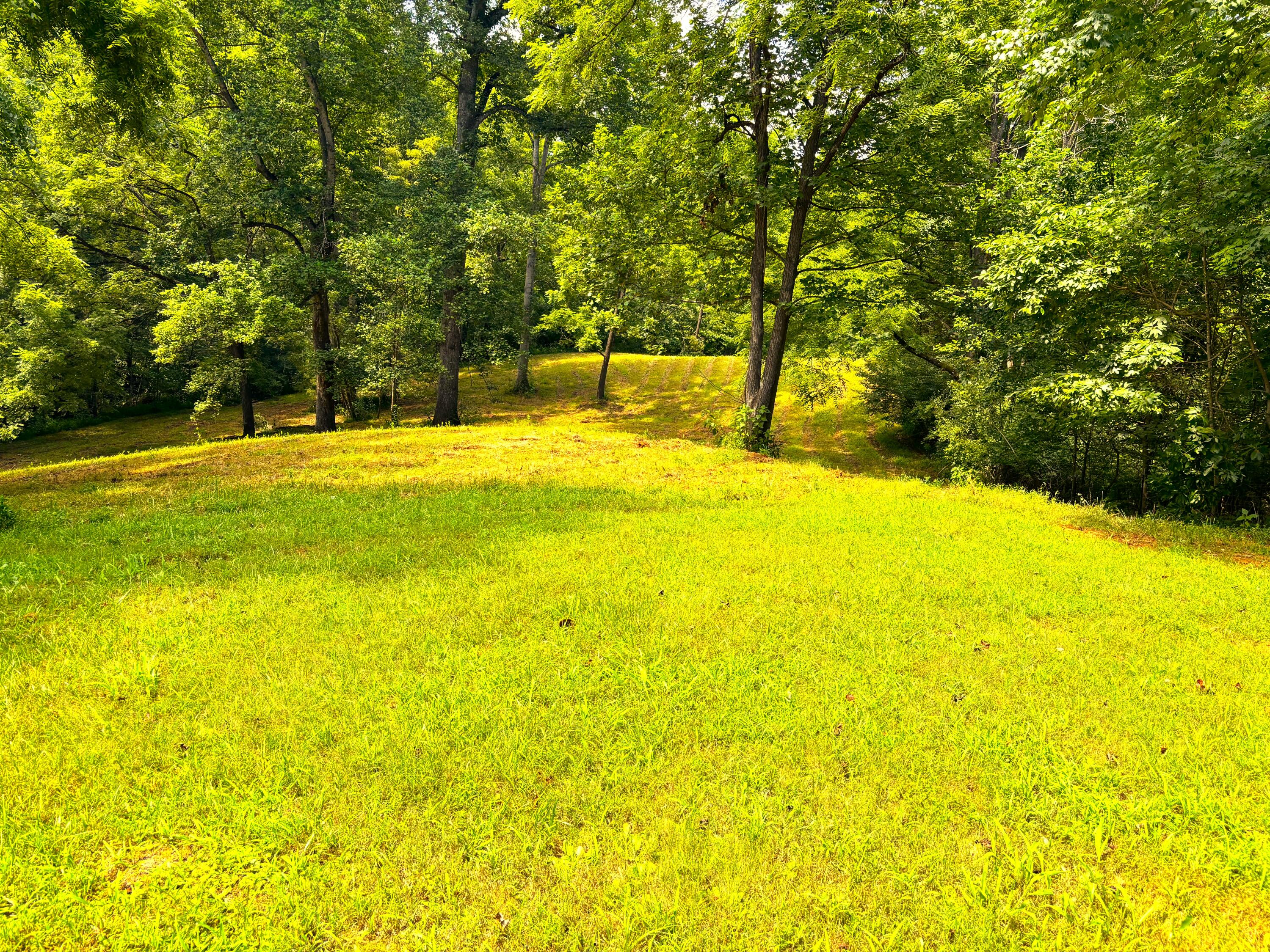 1235 Rock Spring Road Goodview, VA 24095 - Photo 51 of 62 a view of yard and swimming pool