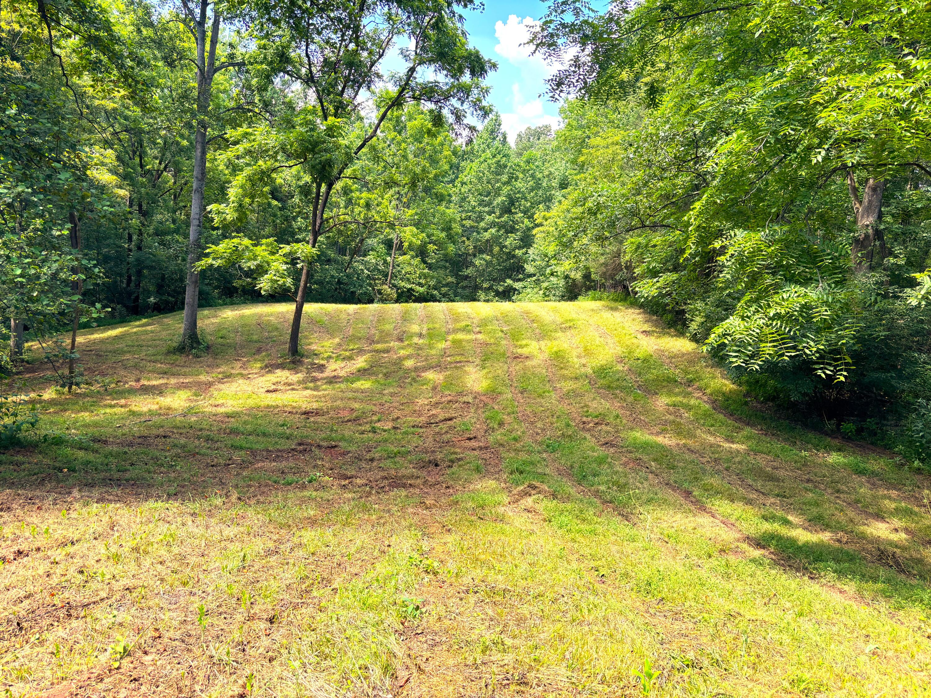 1235 Rock Spring Road Goodview, VA 24095 - Photo 52 of 62 a view of a yard with swimming pool