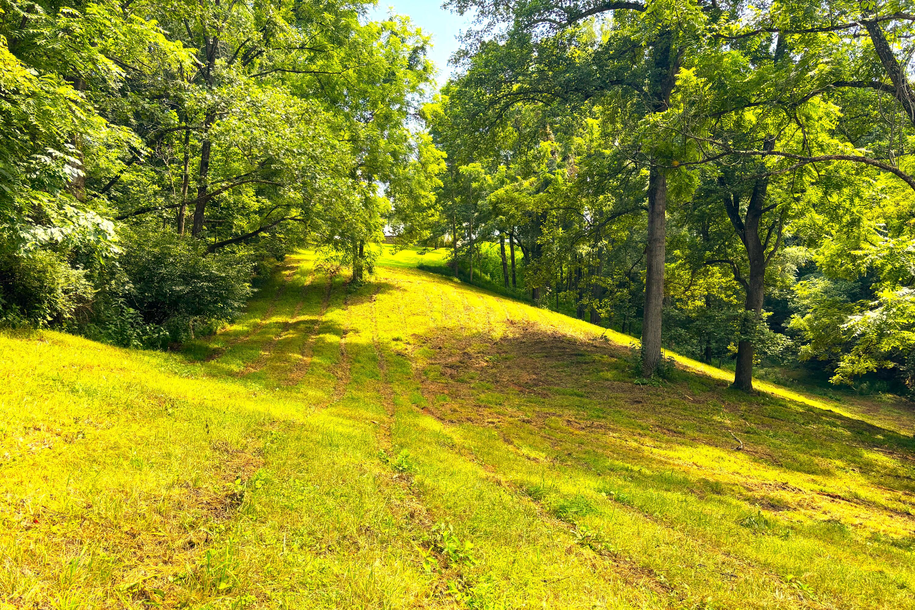 1235 Rock Spring Road Goodview, VA 24095 - Photo 54 of 62 Fenced Pasture
