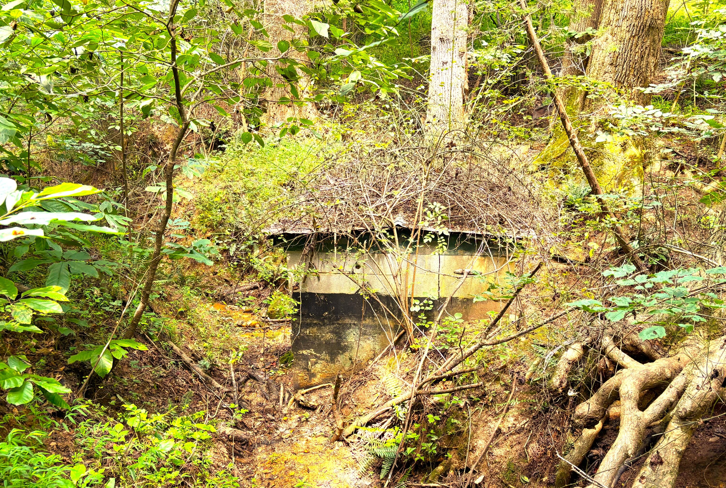 1235 Rock Spring Road Goodview, VA 24095 - Photo 56 of 62 Old Spring Box