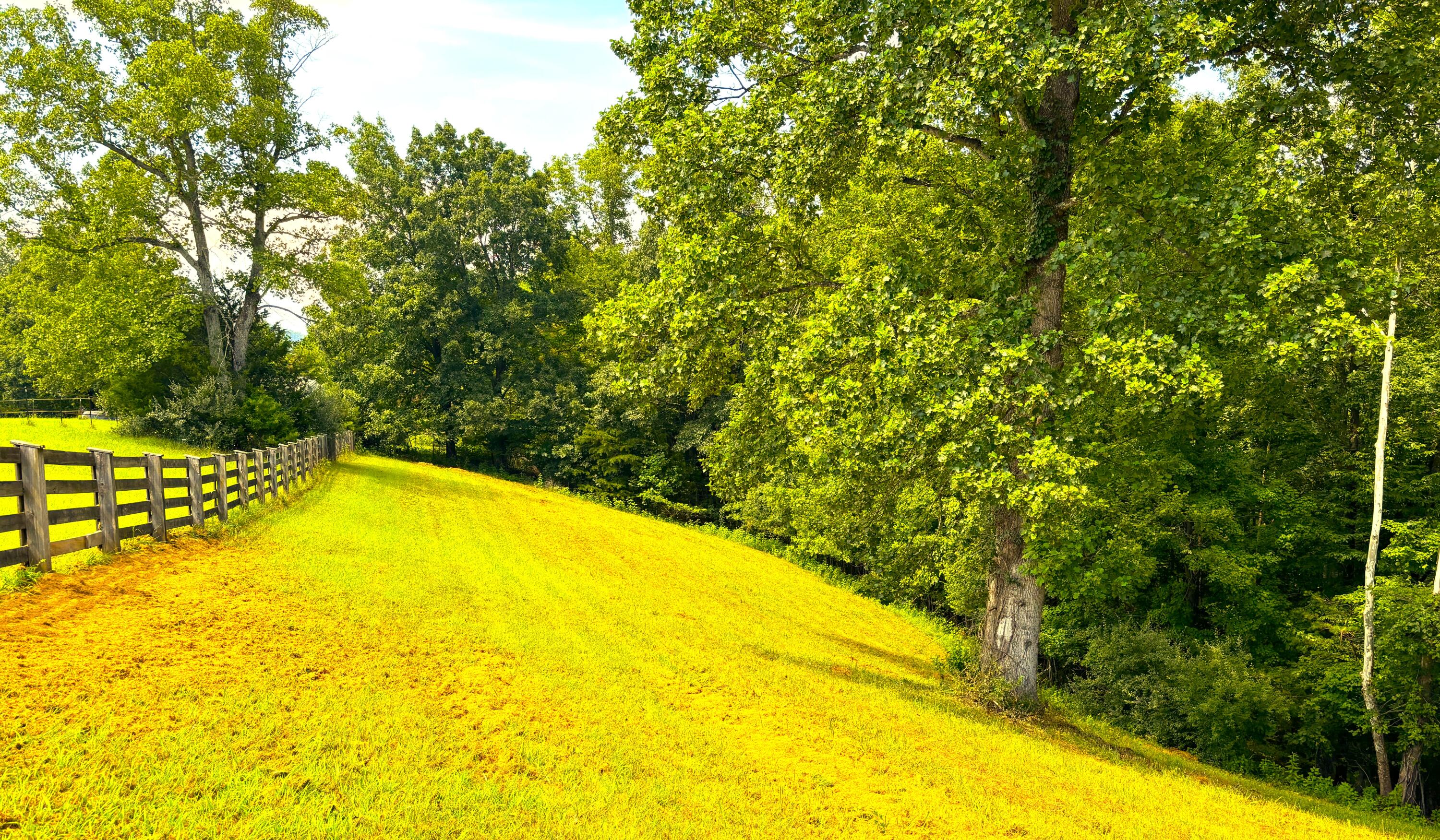 1235 Rock Spring Road Goodview, VA 24095 - Photo 60 of 62 Fenced Pasture