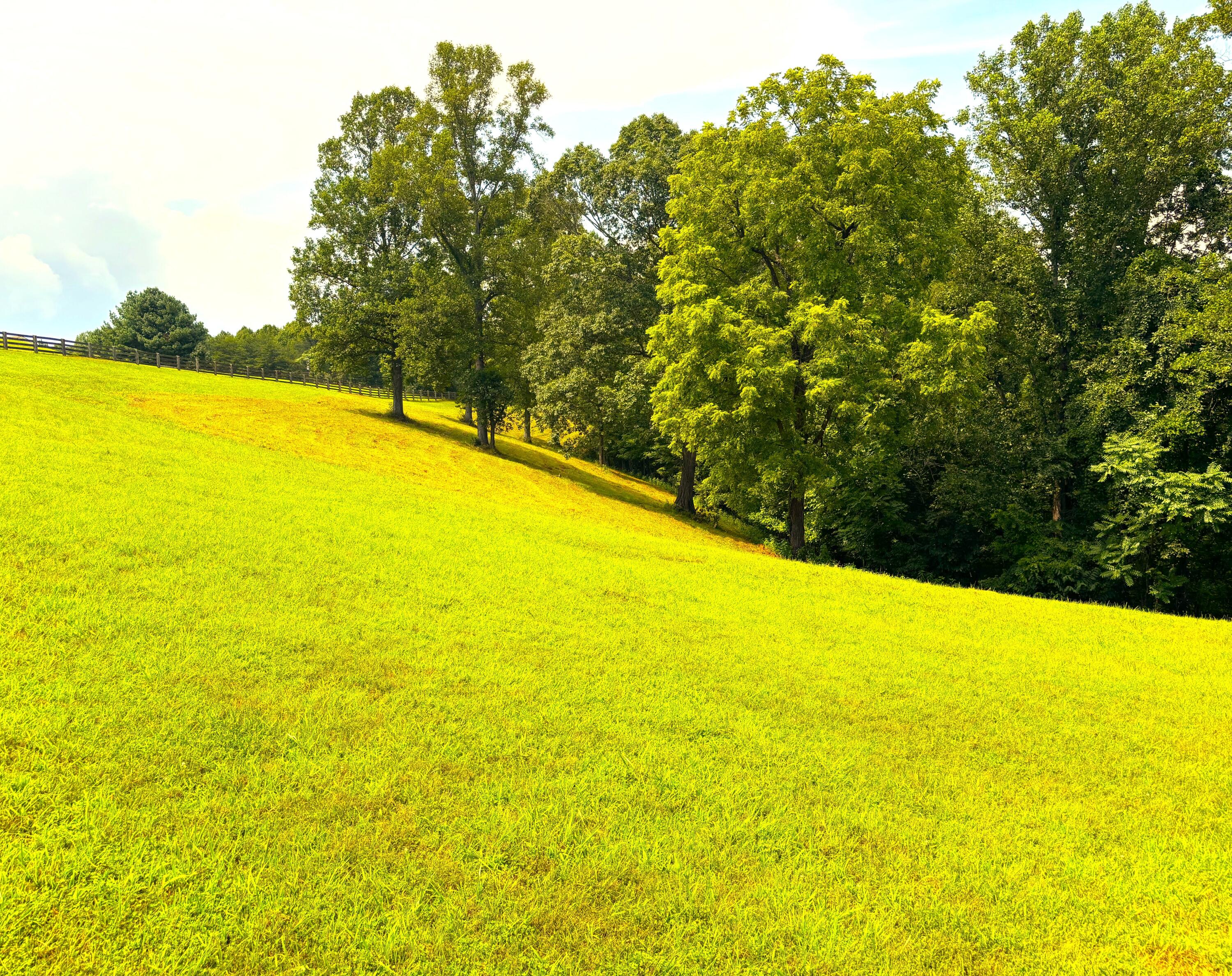 1235 Rock Spring Road Goodview, VA 24095 - Photo 61 of 62 Fenced Pasture