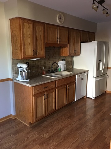 1016 Schoolgate Road New Lenox, IL 60451 - Photo 4 of 13