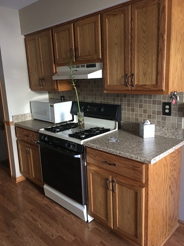 1016 Schoolgate Road New Lenox, IL 60451 - Photo 5 of 13