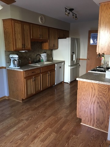1016 Schoolgate Road New Lenox, IL 60451 - Photo 6 of 13