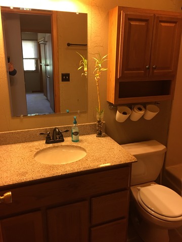 1016 Schoolgate Road New Lenox, IL 60451 - Photo 10 of 13