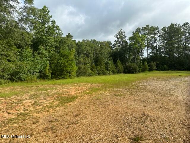 111 Burgetown Road Carriere, MS 39426 - Photo 14 of 18 IMG_1812