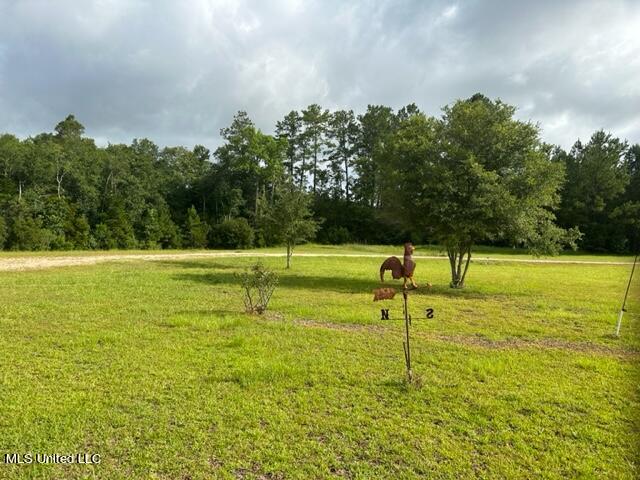111 Burgetown Road Carriere, MS 39426 - Photo 16 of 18 IMG_1806