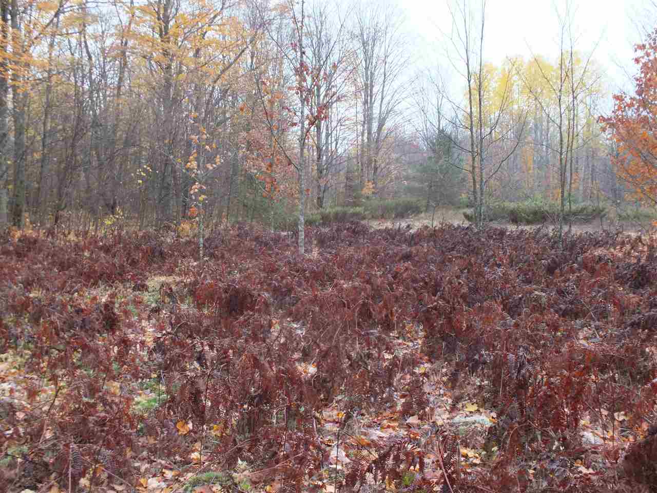 16 Roberts Road Beulah, MI 49617 - Photo 16 of 18 1824993-15.JPG