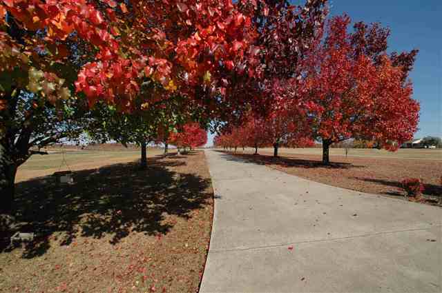 229 Coggins Road Woodruff, SC 29388 - Photo 22 of 25 Gallery Image 22