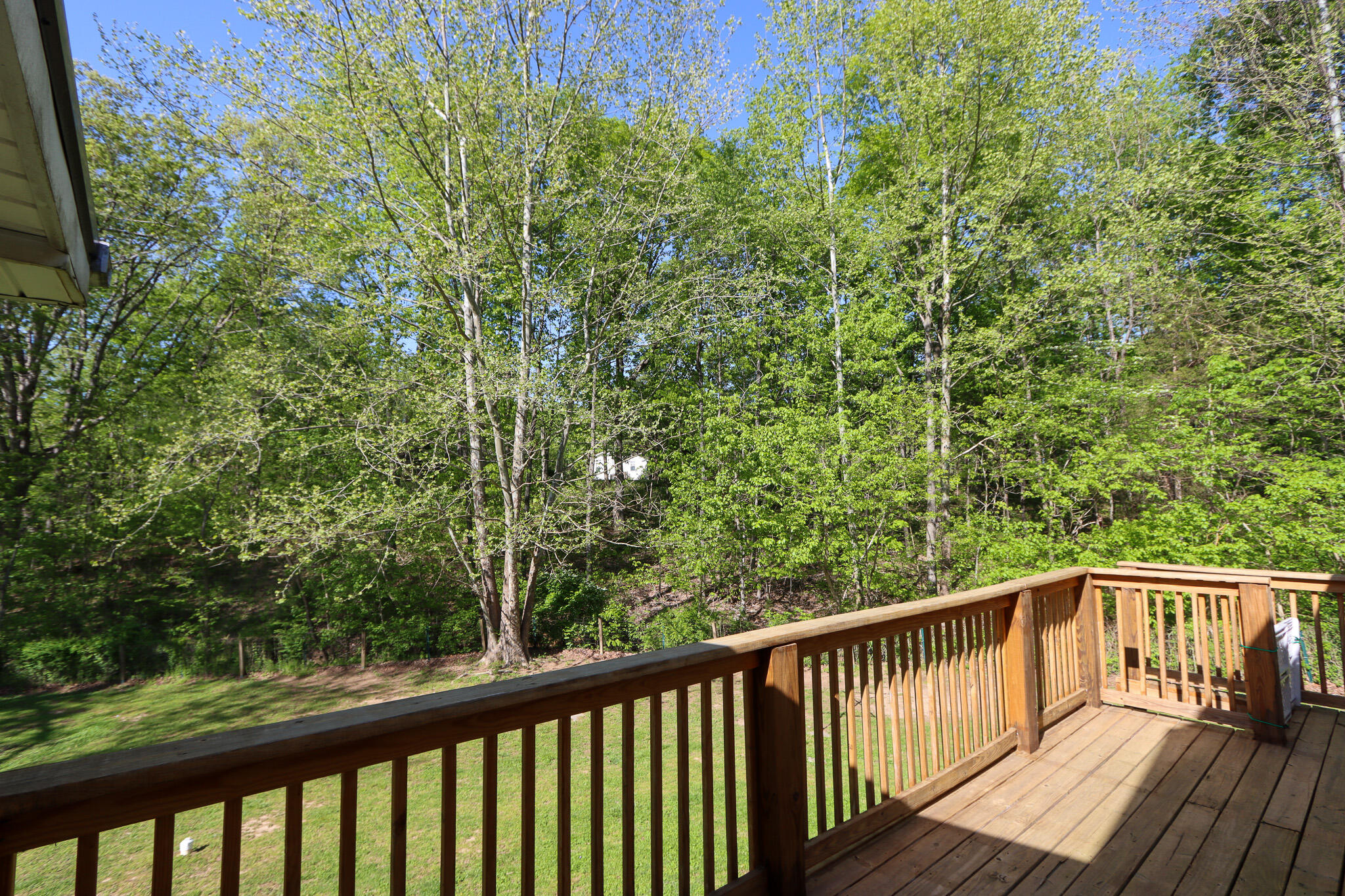 2635 Dreyfus Road Waco, KY 40385 - Photo 8 of 21 IMG_0681