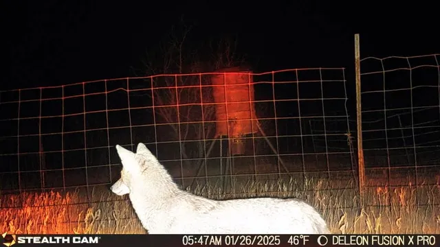 a view of empty room with door
