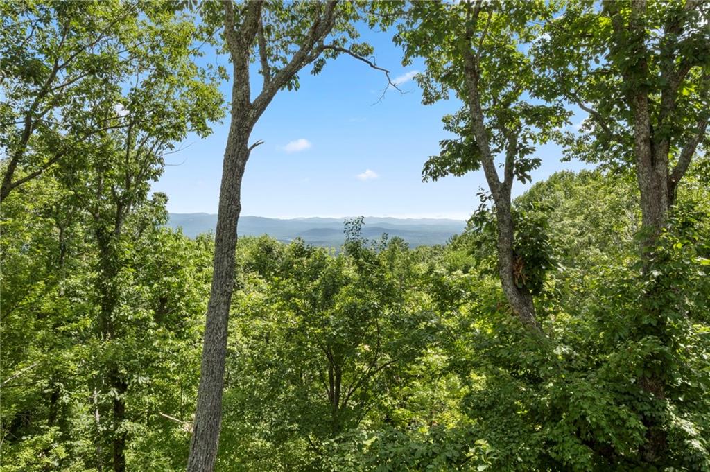 62 Bear Cub Ridge Big Canoe, GA 30143 - Photo 2 of 35 a view of a garden