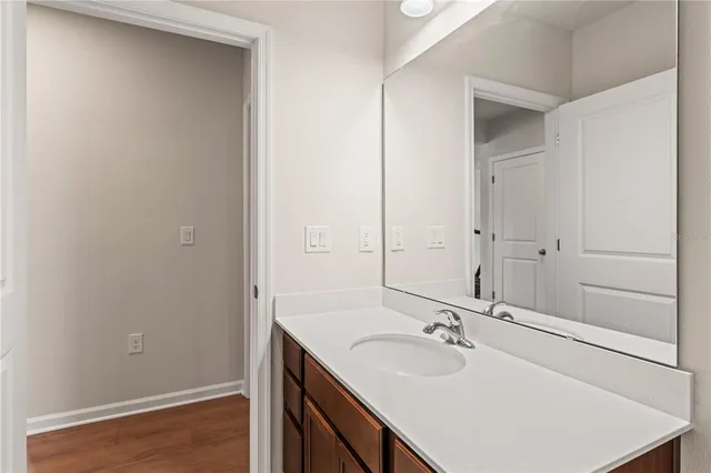 a bathroom with a sink and a large mirror