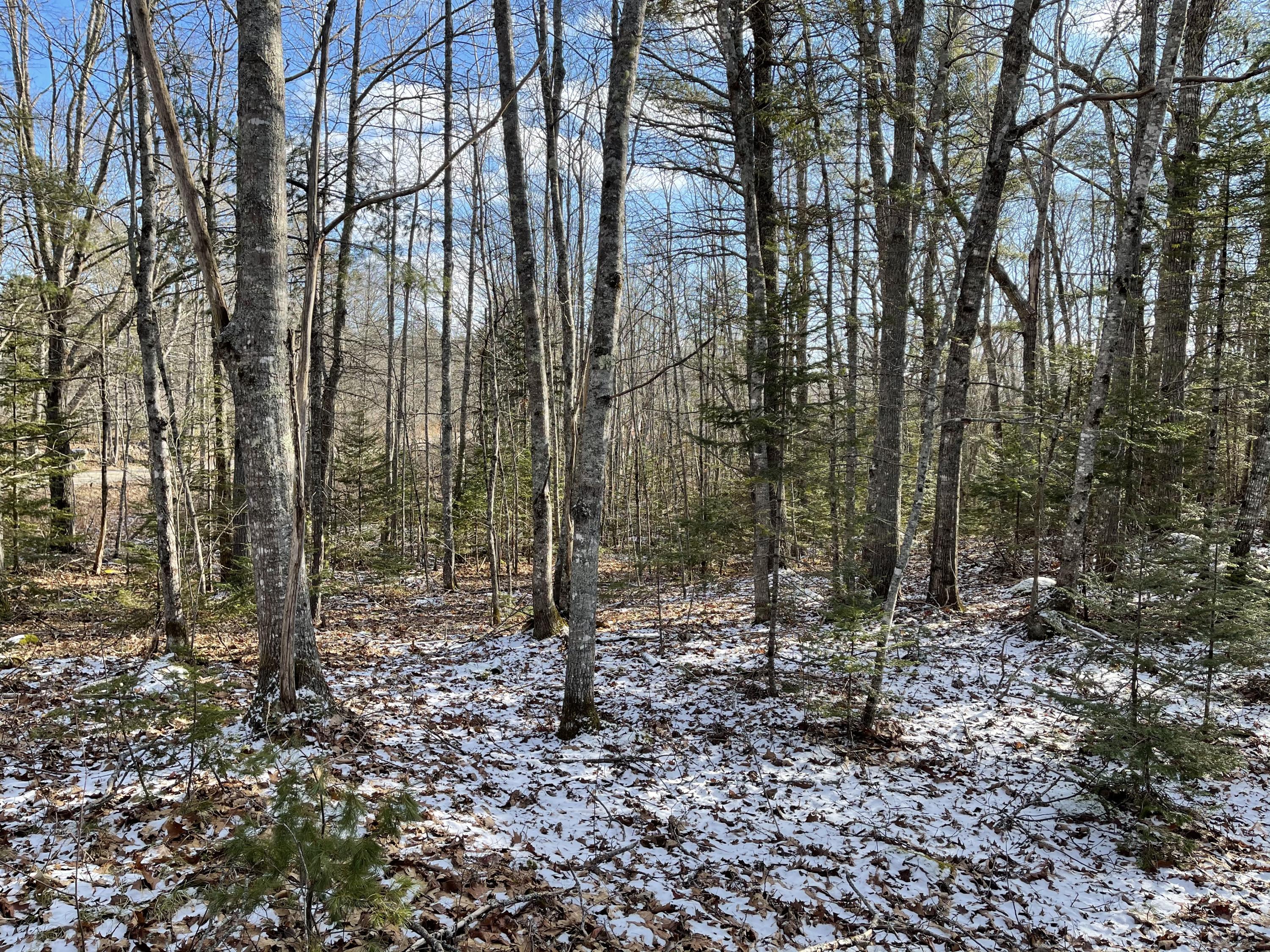 50 Whalen Road Sullivan, ME 04664 - Photo 7 of 12 IMG_0672_original