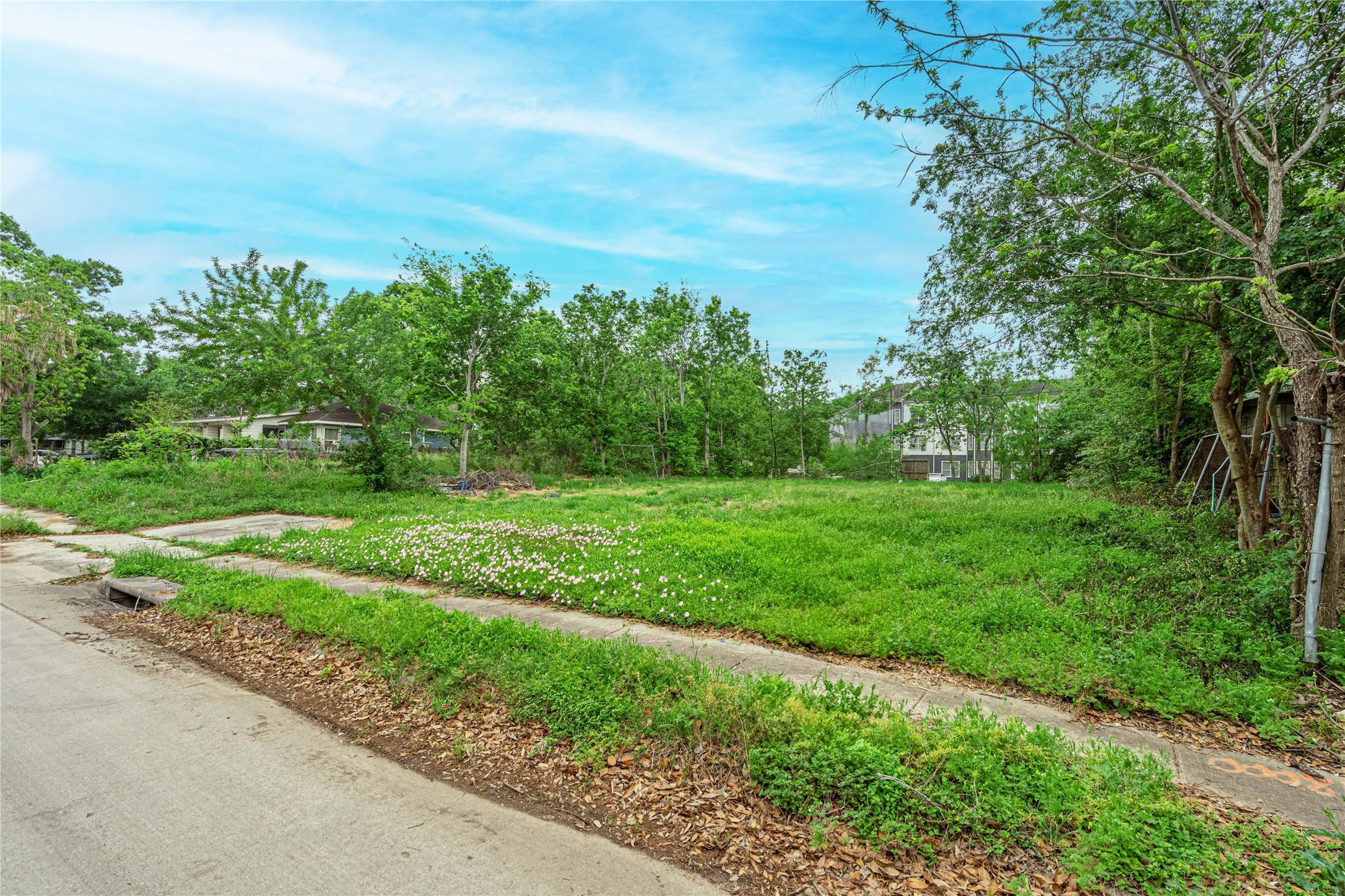 6031 Beekman Road Houston, TX 77021 - Photo 4 of 6 a view of a garden with plants and large trees