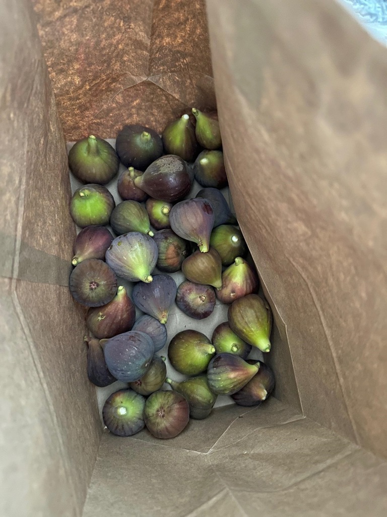 9752-9752 Tareyton Avenue San Ramon, CA 94583 - Photo 37 of 45